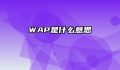 WAP是什么意思