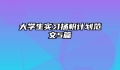 大学生实习扬帆计划范文5篇