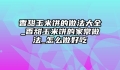 香甜玉米饼的做法大全_香甜玉米饼的家常做法_怎么做好吃