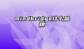 mindbridge什么品牌