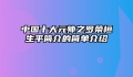 中国十大元帅之罗荣桓生平简介的简单介绍