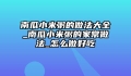 南瓜小米粥的做法大全_南瓜小米粥的家常做法_怎么做好吃