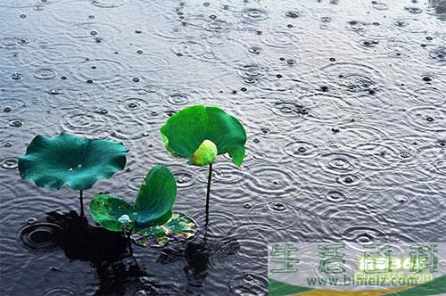 小雨轻轻地下