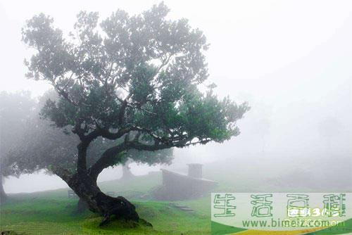 小雨轻轻地下